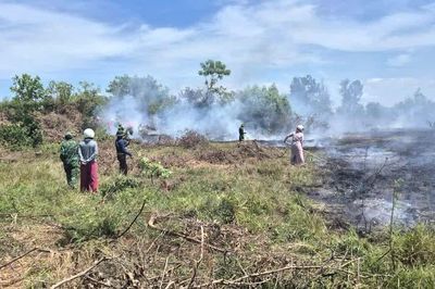 Kịp thời dập tắt vụ cháy rừng tại xã Hoàn Lão
