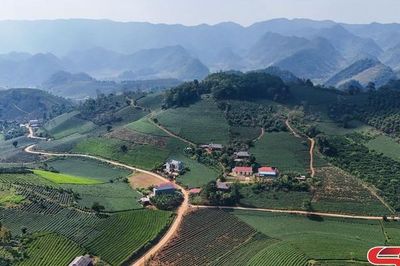 Sơn La: Từ miền đất dốc đến không gian phát triển mới của nền nông nghiệp Việt Nam