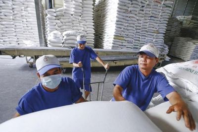 Gạo Việt gia tăng lợi thế từ sản phẩm chất lượng cao