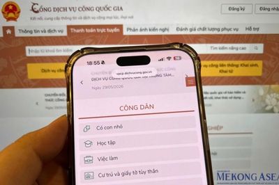 Dịch vụ công phải tự động hiển thị thông tin trước khi nộp hồ sơ