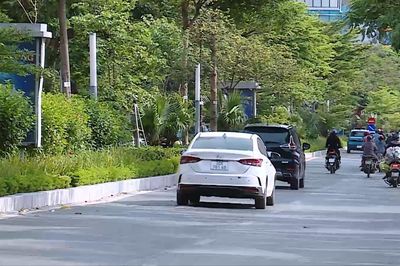 Dải phân cách xanh trên đường Lạc Long Quân