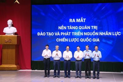 Triển khai chương trình và chính sách đào tạo nhân lực STEM