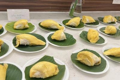 Tuần lễ Buffet sầu riêng ở Cần Thơ