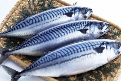 Loại cá bình dân bán đầy chợ Việt nhưng giàu omega-3 hơn cá hồi, thành đặc sản làm nhiều món ngon, tốt cho sức khỏe