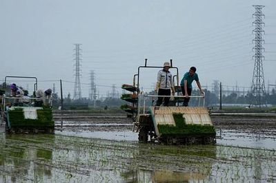 Chủ động ứng phó thời tiết cực đoan, bảo đảm vụ mùa thắng lợi