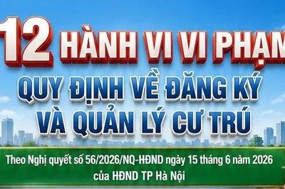 Chi tiết 12 hành vi vi phạm cư trú tại Hà Nội bị tăng tiền phạt từ 1/7