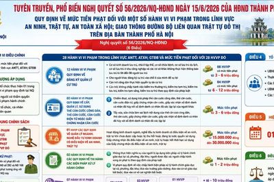 Công an Hà Nội: Chi tiết mức phạt vi phạm an ninh trật tự, đô thị từ 1/7/2026
