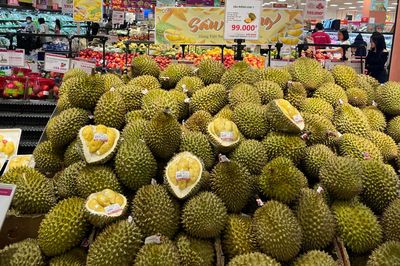 Làm gì khi sầu riêng Việt Nam có đối thủ mới?