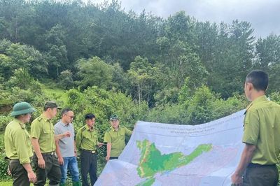 Gỡ điểm nghẽn thể chế trong quản trị rừng