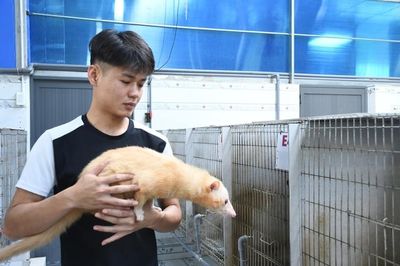 Khám phá trang trại nuôi chồn hương đặc biệt ở TP Đồng Nai