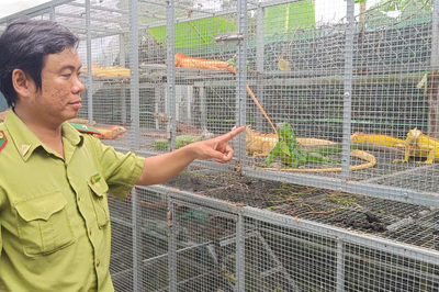 Tăng cường công tác bảo vệ động vật hoang dã