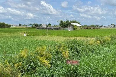 Tháo gỡ, giải quyết dứt điểm các dự án tồn đọng kéo dài liên quan đến đất đai