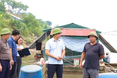 Mực nước sông Đà giảm đột ngột, hơn 73 tấn cá chết