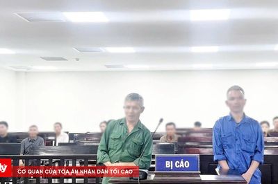 Lưỡi rạ gặt mùa cay đắng