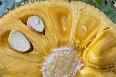 4 tác dụng của hạt mít nhiều người đang bỏ phí