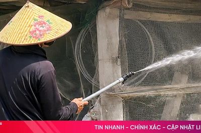 Chăn nuôi không tiếp xúc giải pháp tạo 'lá chắn sinh học' trước dịch tả lợn châu Phi