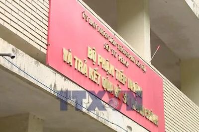 Cảnh giác thủ đoạn lừa đảo cấp lý lịch tư pháp