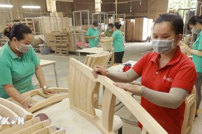 Phát triển lâm sản ngoài gỗ thành ngành hàng chủ lực
