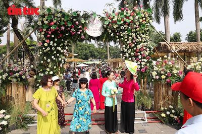 Lễ hội Sen Hà Nội 2026 thu hút đông đảo người dân dịp cuối tuần