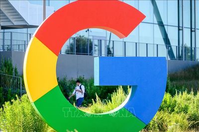 Google yêu cầu Meta giới hạn mức dùng mô hình AI Gemini
