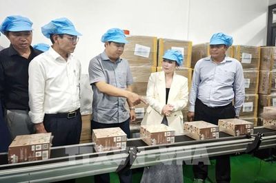 Đắk Lắk tạo 'luồng xanh', khơi thông nguồn lực đầu tư