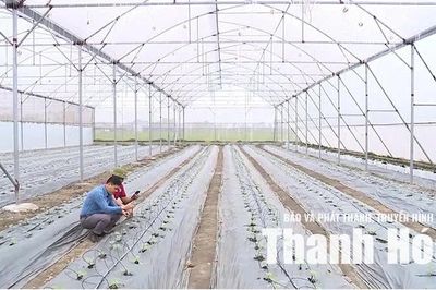 Công nghệ nâng tầm giá trị nông sản