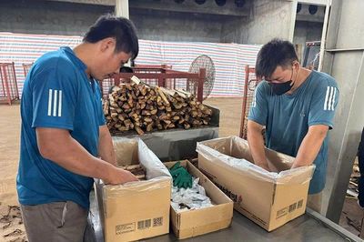 Trồng rừng gắn với chế biến ở Ngọc Trạo