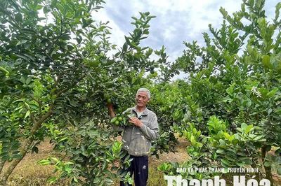 Cẩm Tân phát triển kinh tế, nâng cao thu nhập cho người dân
