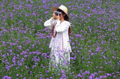 Phim trường Rose Garden rực rỡ sắc hoa