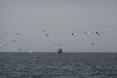 IMO nối lại chiến dịch giải cứu thủy thủ mắc kẹt tại eo biển Hormuz