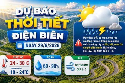 Bản tin Dự báo thời tiết ngày 29/6/2026