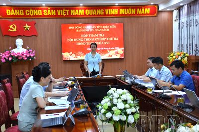 Ban Kinh tế - Ngân sách HĐND tỉnh thẩm tra nội dung trình kỳ họp thứ Ba