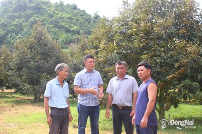 Phủ xanh vùng đất ven chân núi Ðỏ