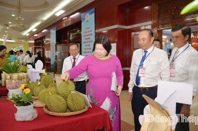 Đồng Tháp: Kinh tế tập thể chuyển mình mạnh mẽ