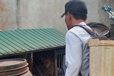 Đak Đoa: Khử trùng tiêu độc ổ dịch bệnh dại tại thôn 2 Tân Bình