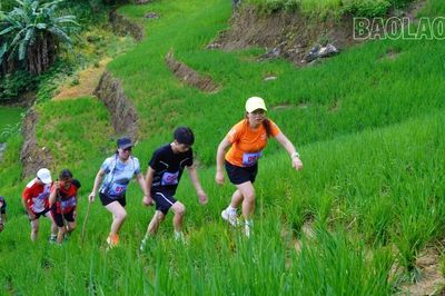 200 vận động viên tham dự Giải leo núi 'Chinh phục đỉnh Dìn Phàng'
