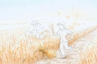 Đi giữa đồng chiều