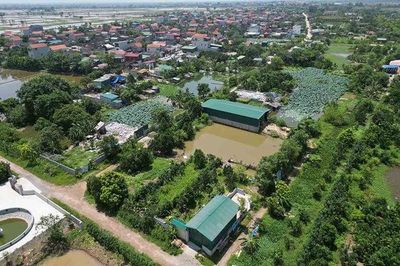 Cục Thuế lưu ý việc gia hạn thời hạn nộp thuế và tiền thuê đất năm 2026