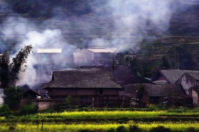 Chùm thơ 'Gia đình' của Trần Phương Hồng Điểu