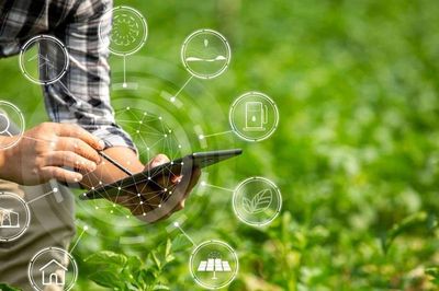 Dữ liệu rời rạc kéo quản trị suy giảm