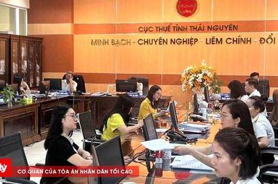 Gia hạn thời gian nộp thuế và tiền thuê đất năm 2026