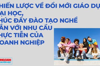 Chiến lược về đổi mới giáo dục đại học, thúc đẩy đào tạo nghề gắn với nhu cầu thực tiễn của doanh nghiệp