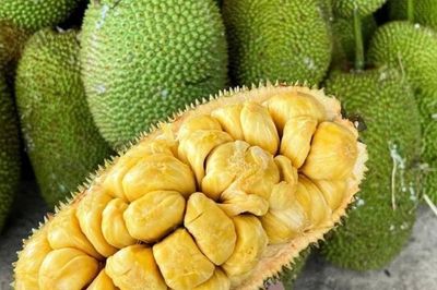 Loại quả đặc sản có ở Đồng Nai giá 55.000 đồng/kg, trồng sau nhà giúp hút lộc, thu hoạch quả suốt 30 năm