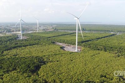 Cần Thơ chấp thuận chủ trương đầu tư 2 dự án điện gió vốn gần 22.000 tỷ đồng