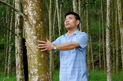 Sàn giao dịch carbon: Hạ tầng công nghệ cho kinh tế xanh Nghệ An