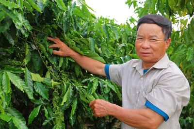 Từ ý chí người lính đến mô hình nông nghiệp doanh thu tiền tỉ