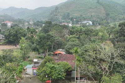 Hành trình tìm lại ký ức văn hóa