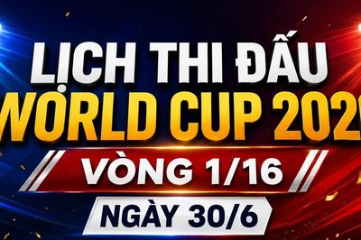Lịch vòng loại trực tiếp World Cup ngày 30/6: Brazil đụng độ Nhật Bản, Đức đấu Paraguay