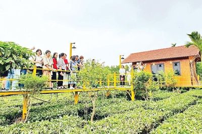 Du lịch xanh vì sự phát triển bền vững