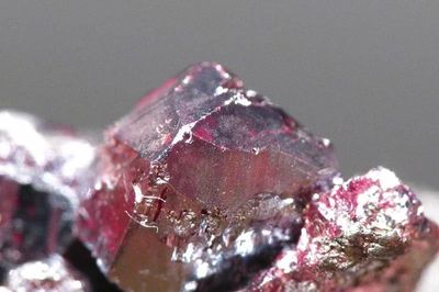 Kỳ thú khoáng vật đỏ như than hồng chứa hơn một nửa là bạc nguyên chất